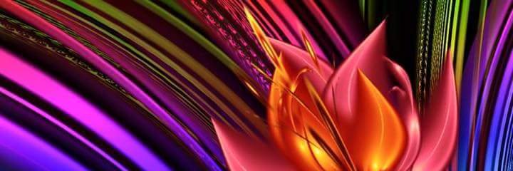 rainbowcatlady7's profile banner image