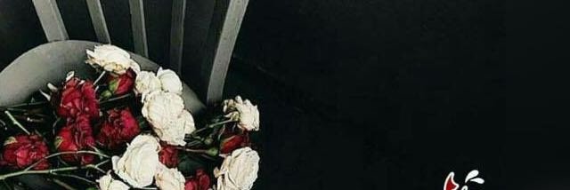 l_shrog's profile banner image
