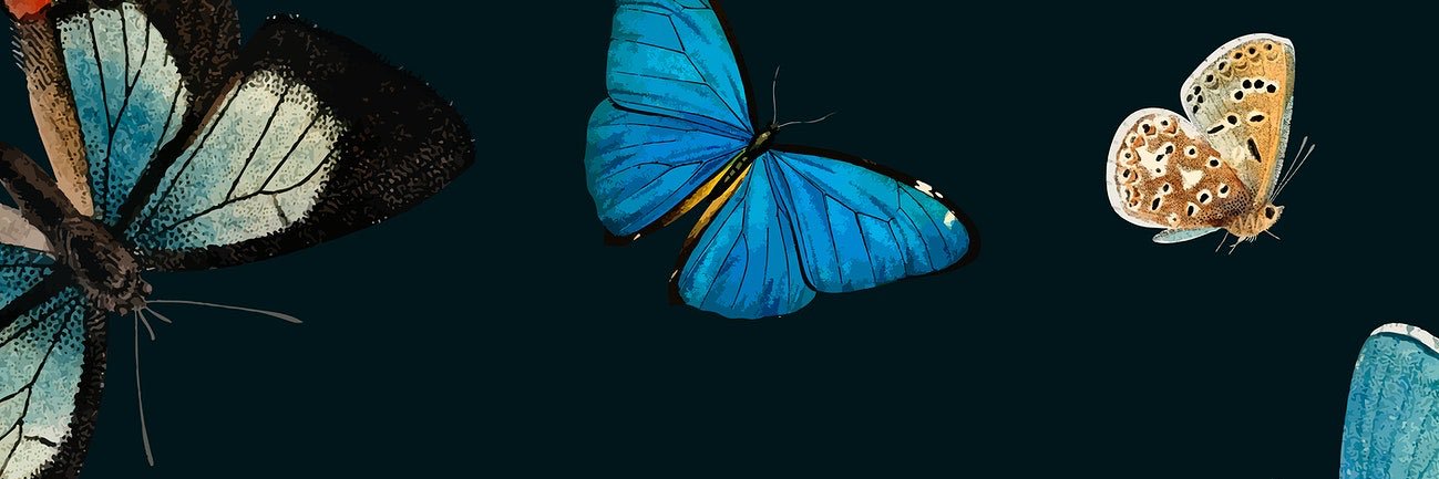 BridgetBuffkin's profile banner image