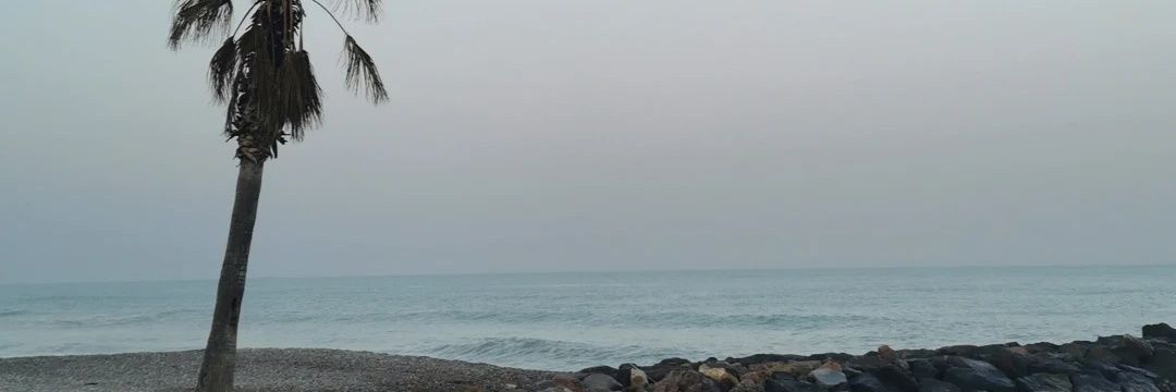 PalomaMora's profile banner image