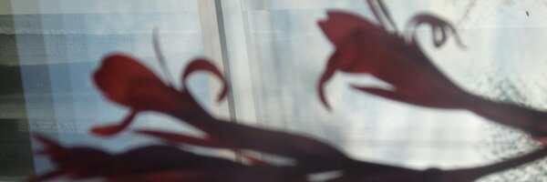 WallyTBM Profile Banner