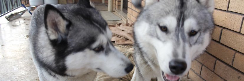 karanemaree's profile banner image