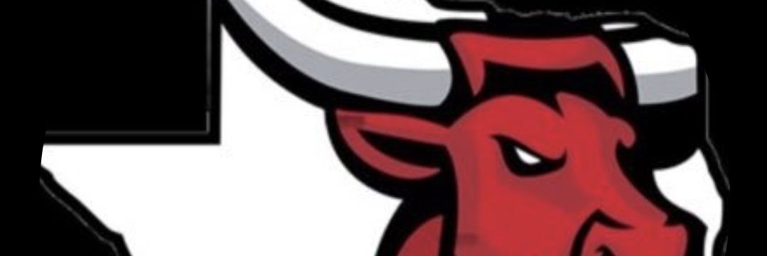 Efe Osawemwenze II 🇳🇬 🇺🇸 banner