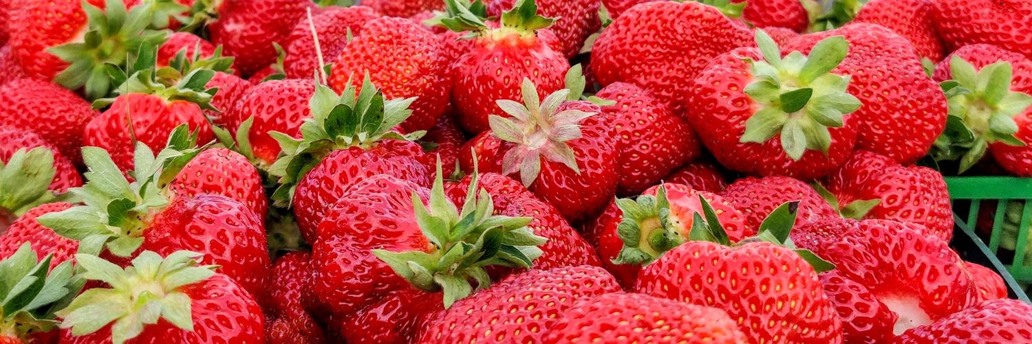 millarberry's profile banner image