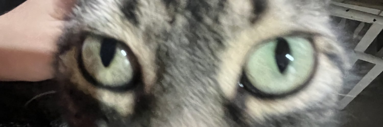 manabedora's profile banner image