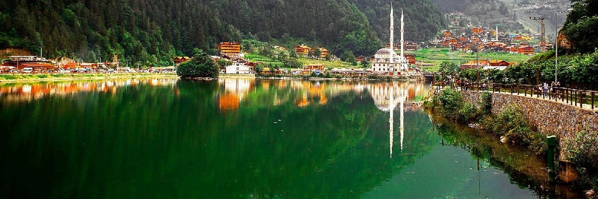 Doris P. 🇨🇴🇨🇴🇨🇴 banner