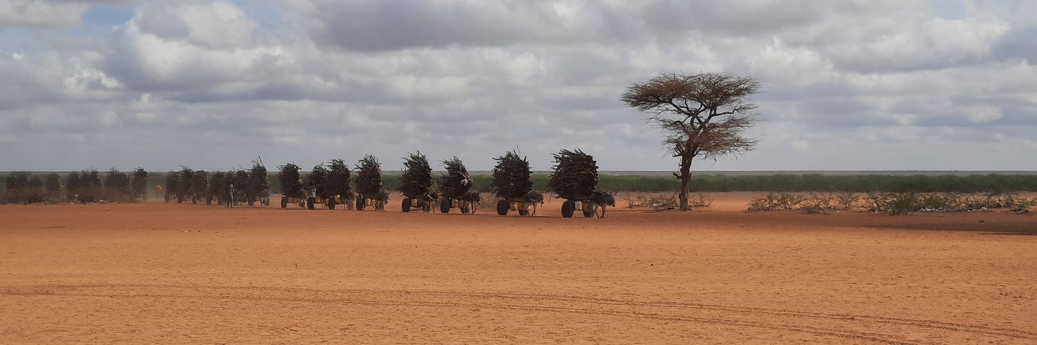 HMAsifulHoque's profile banner image