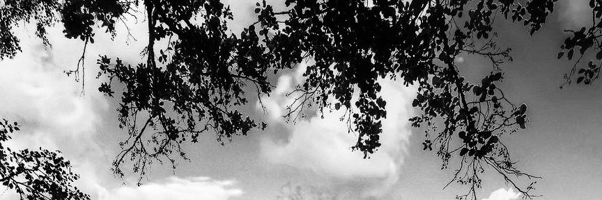 SΘLSTICΞ RΞY banner