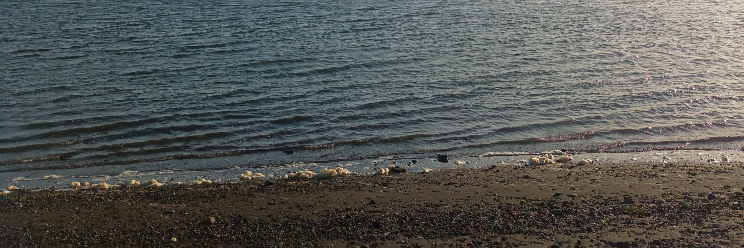 fesmra_'s profile banner image
