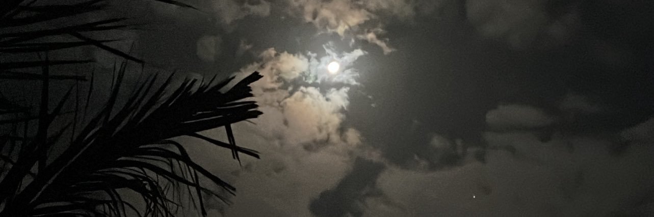 tals79's profile banner image