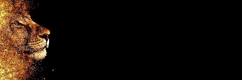 CarlyCastilloP's profile banner image