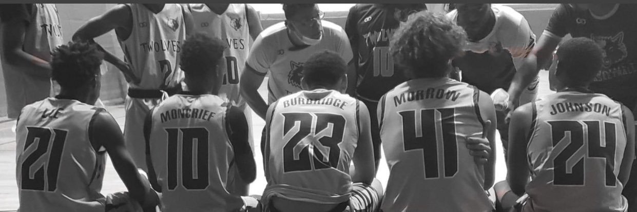 IL Timberwolves Nation banner