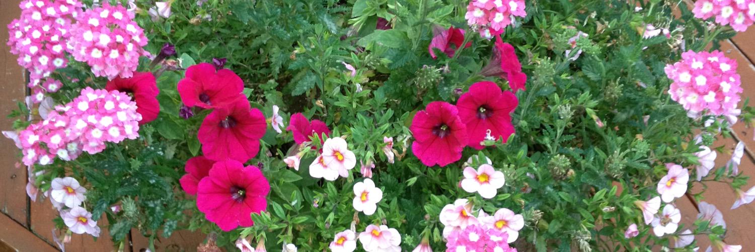 MrsRobertsMR's profile banner image