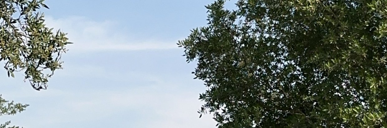 therenadx's profile banner image