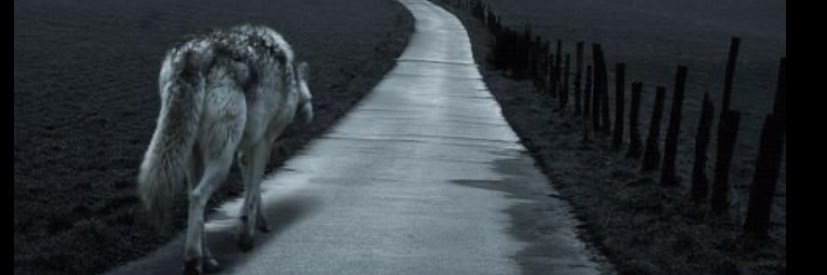 bss0fia's profile banner image