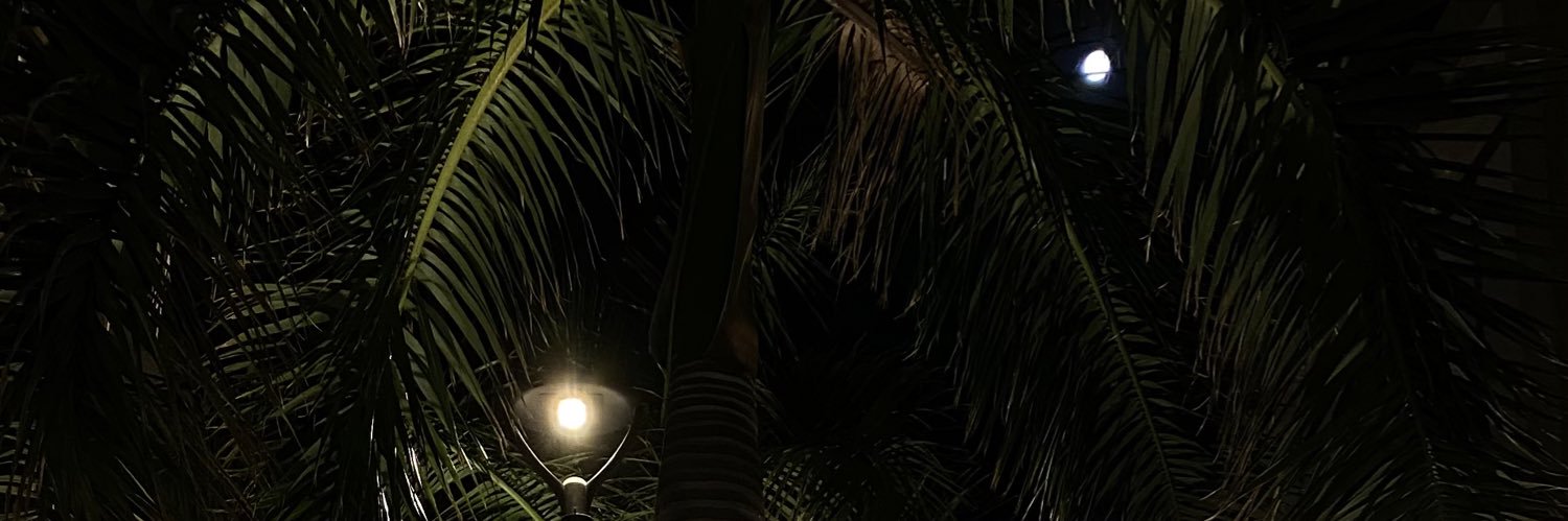 3z banner