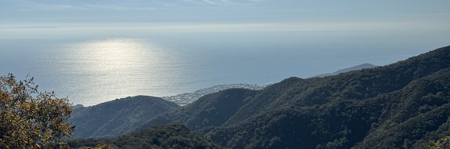 sam (tabone) rector banner