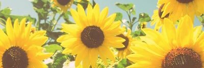 ashleyschebler_'s profile banner image