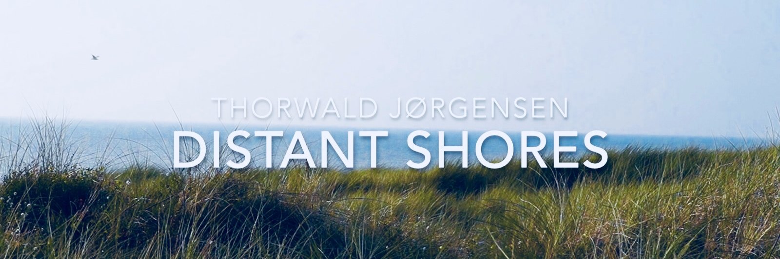 Thorwald Jørgensen banner