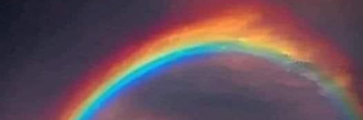 caroltadena5's profile banner image