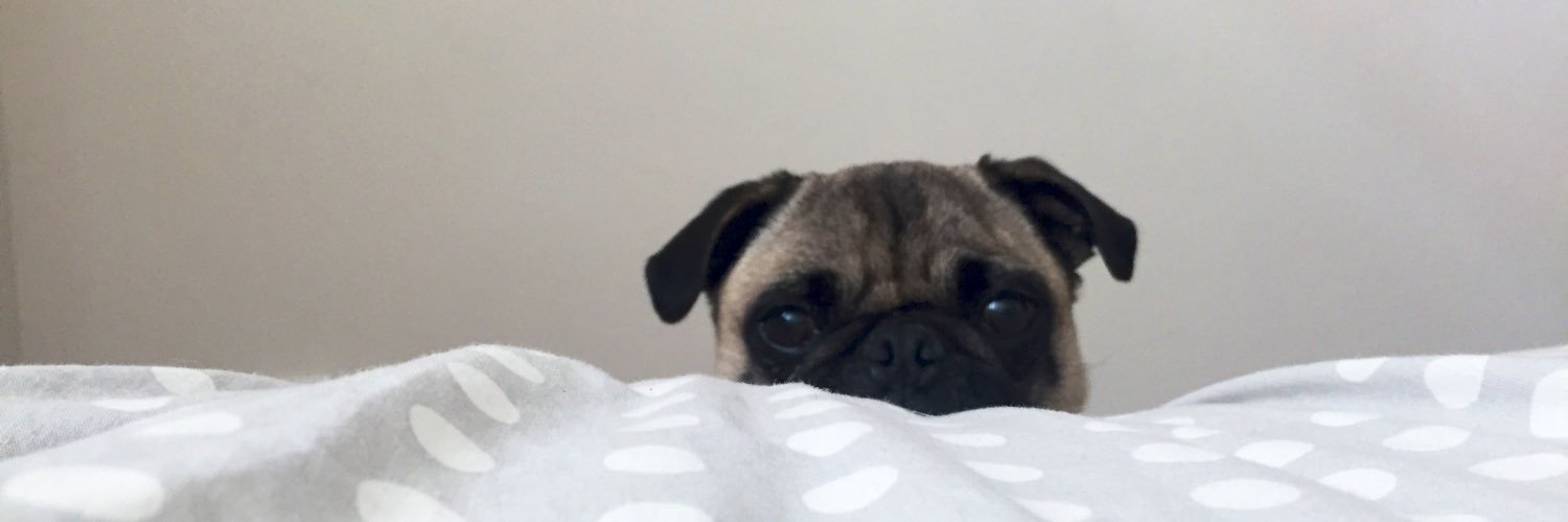 AnnieMyBoo's profile banner image