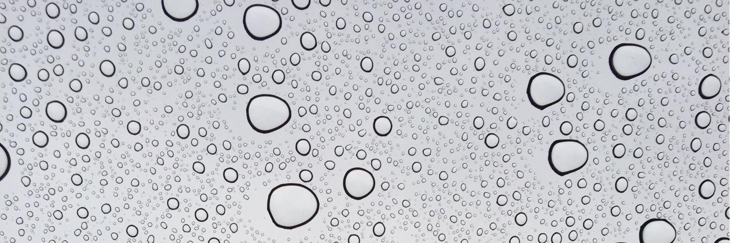 Tweet_Missesz's profile banner image