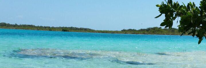 Gongora_'s profile banner image