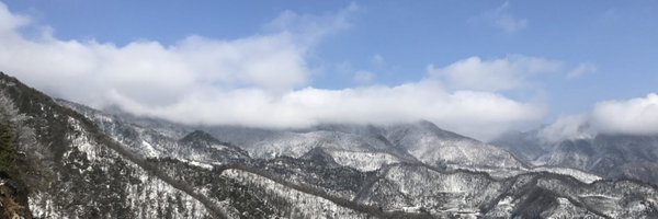 treenewbeeooO Profile Banner