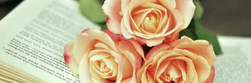 Rosie Amber 📚 🌷's banner
