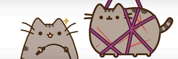 MS Mongle banner