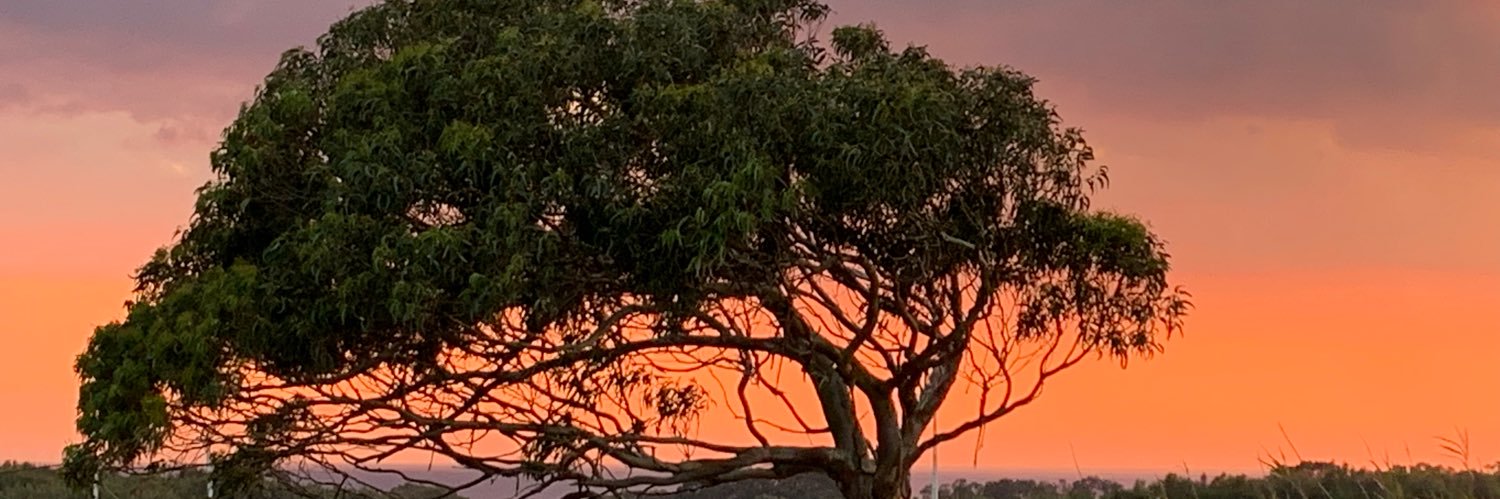 ppa196303's profile banner image