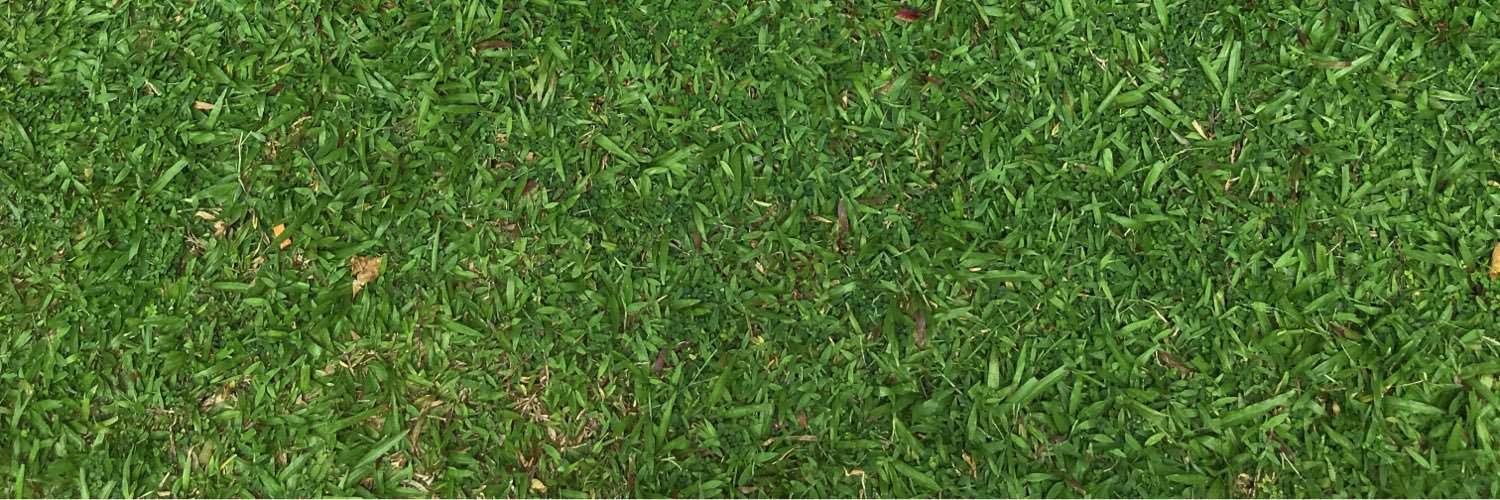 FollowDFG's profile banner image