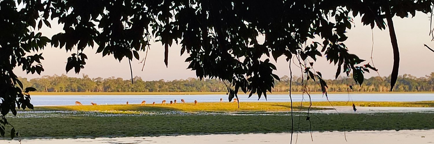 DJSengupta1's profile banner image