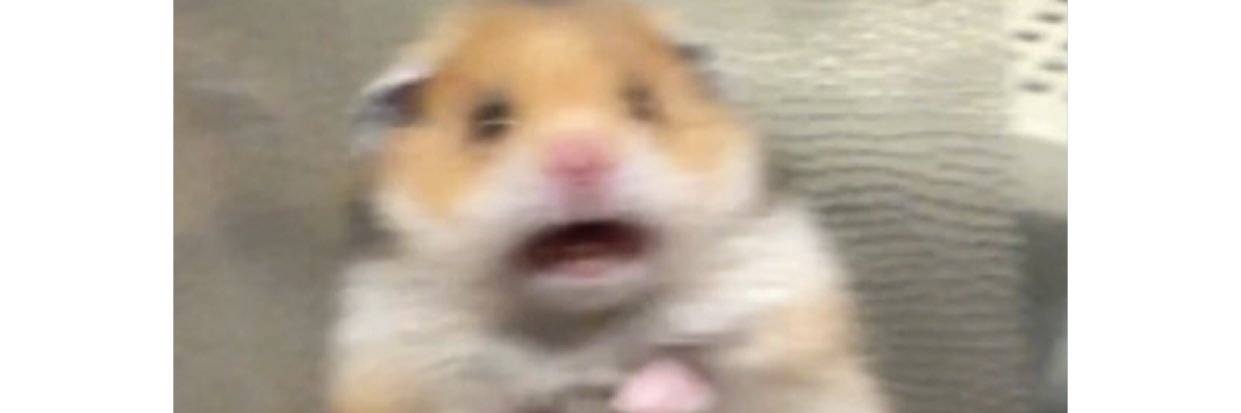 saampennington's profile banner image