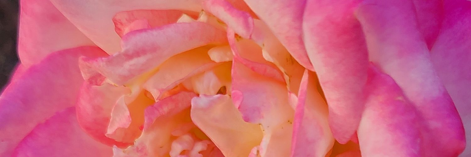 Emeraldelements's profile banner image