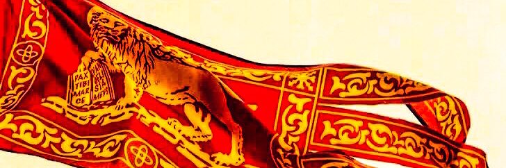Federico Boin banner