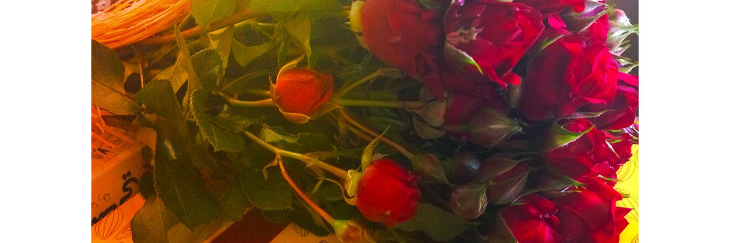 ro0o7_a22's profile banner image