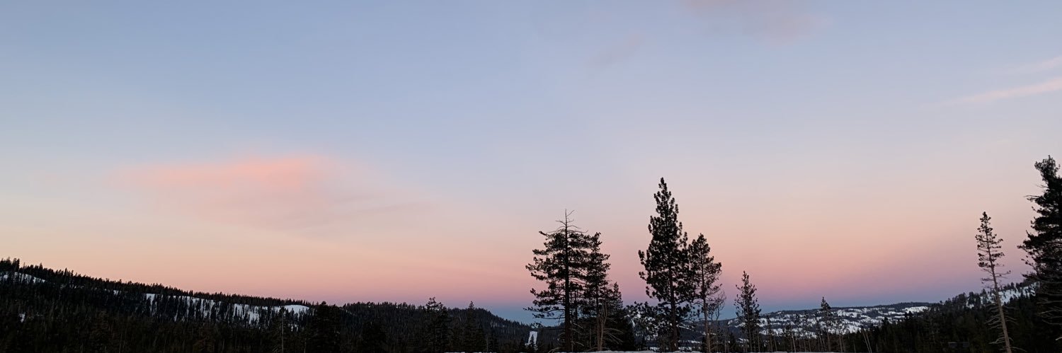 ellieweiland's profile banner image