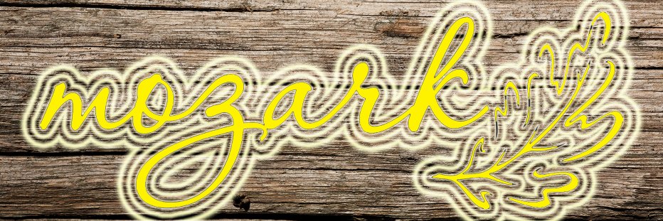 MOP Mozark Realty banner