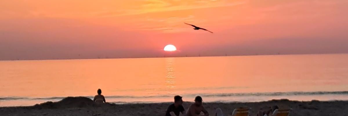 janschaap1111's profile banner image