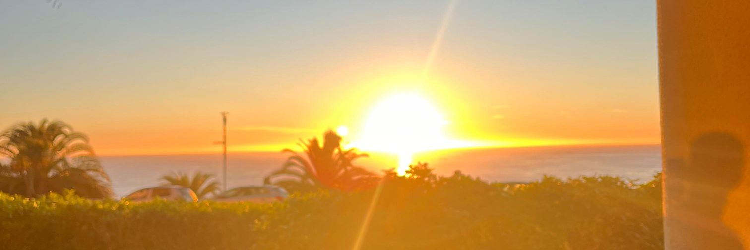analagata's profile banner image