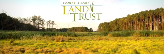 LSLTrust's profile banner image
