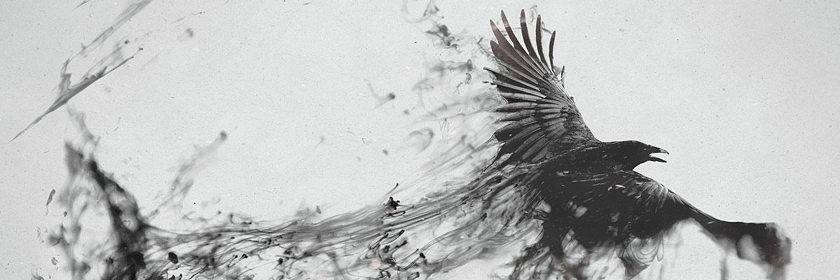 pedro_javierr's profile banner image