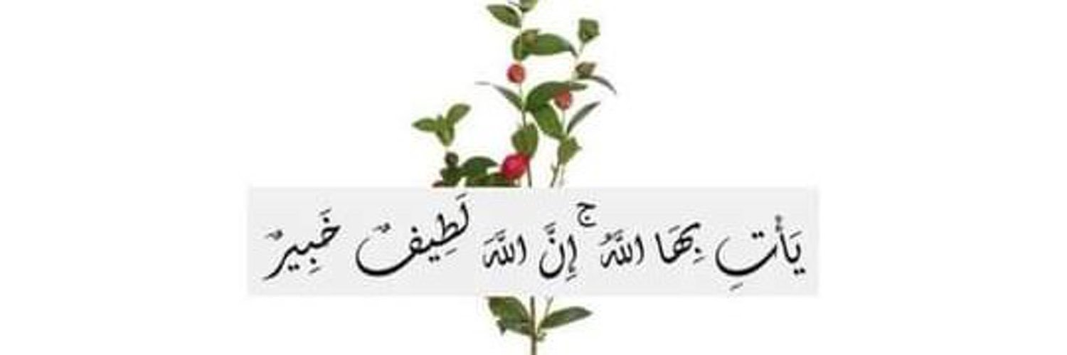 am__wael's profile banner image