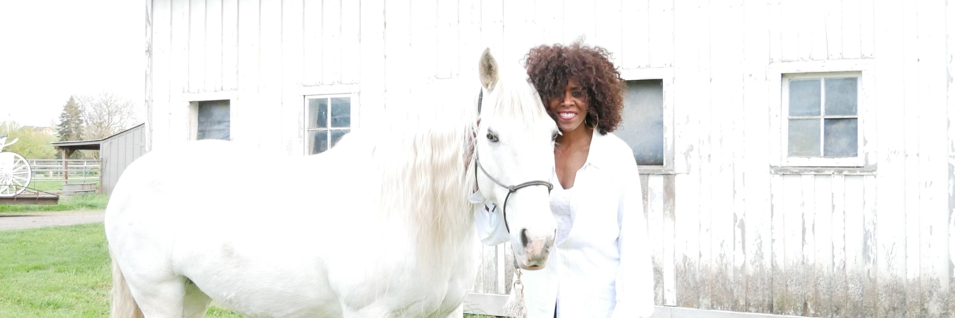 LisaSmithPutnam's profile banner image