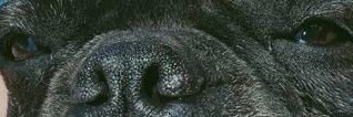 ndllsrt0s's profile banner image
