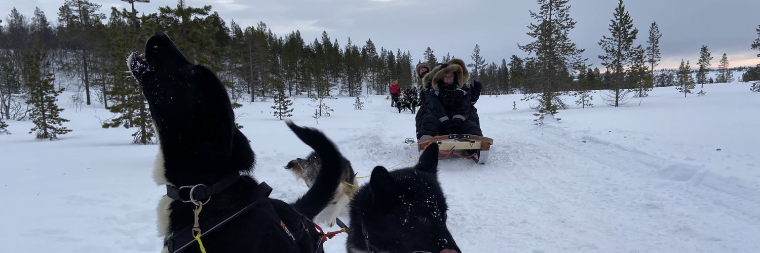 DozzerRees's profile banner image