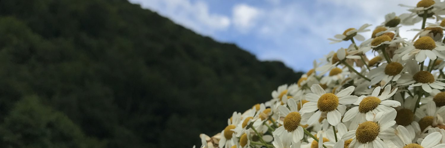edailbay's profile banner image