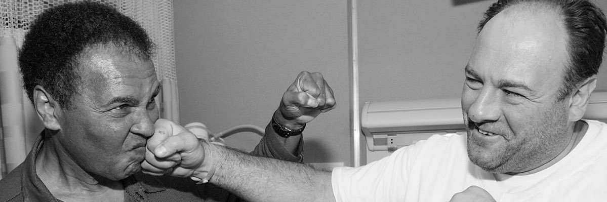 philip_vitale's profile banner image