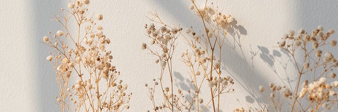 𝐋𝐢𝐯 banner